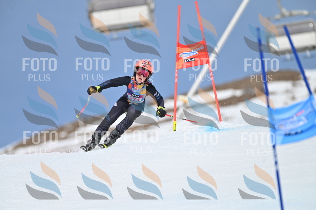 BGV_2263 | holidayphoto