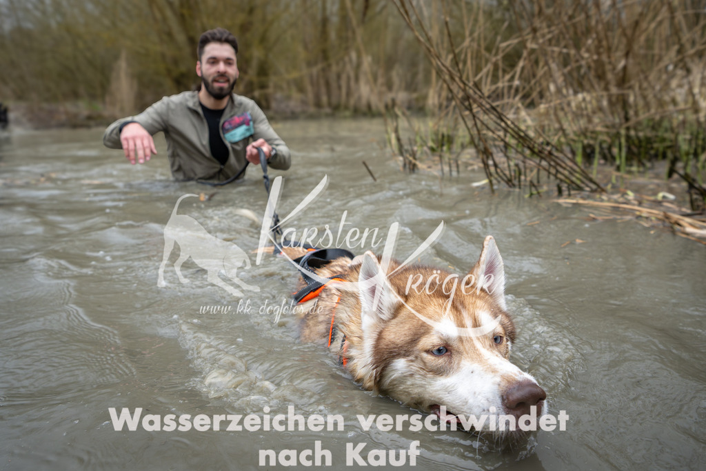 1403_ZZ95743 | kk-dogfotos