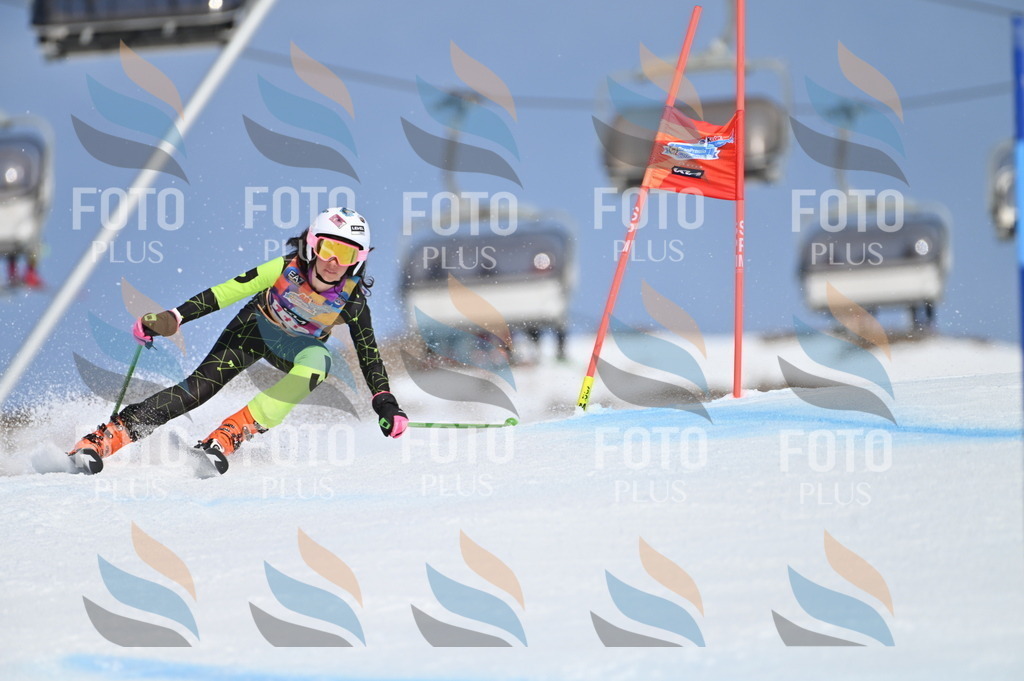 BGV_9745 | holidayphoto