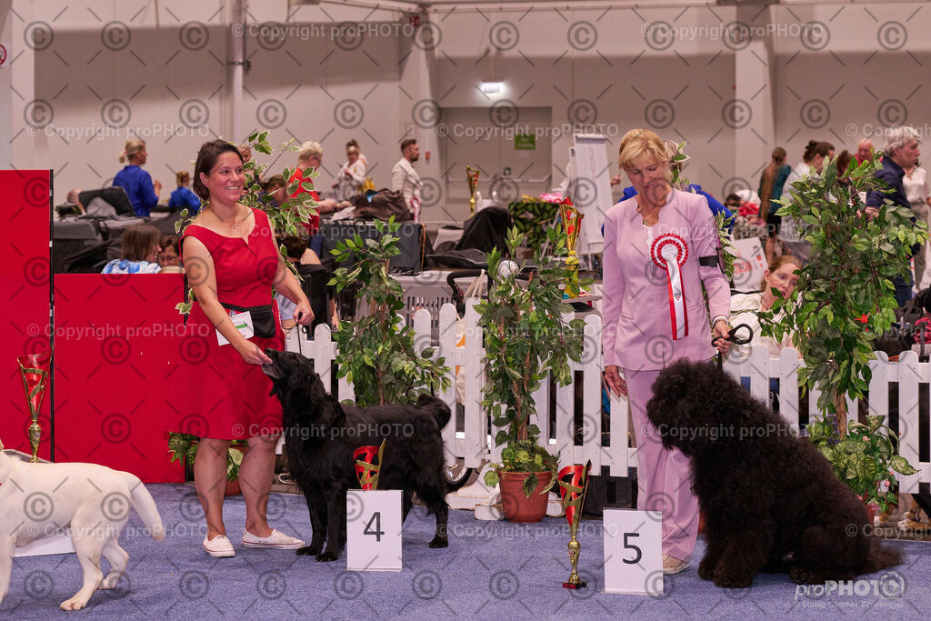 202406_ÖKV-IHA-Tulln24_NZ9_9558 | proPHOTO - Realisiert mit Pictrs.com