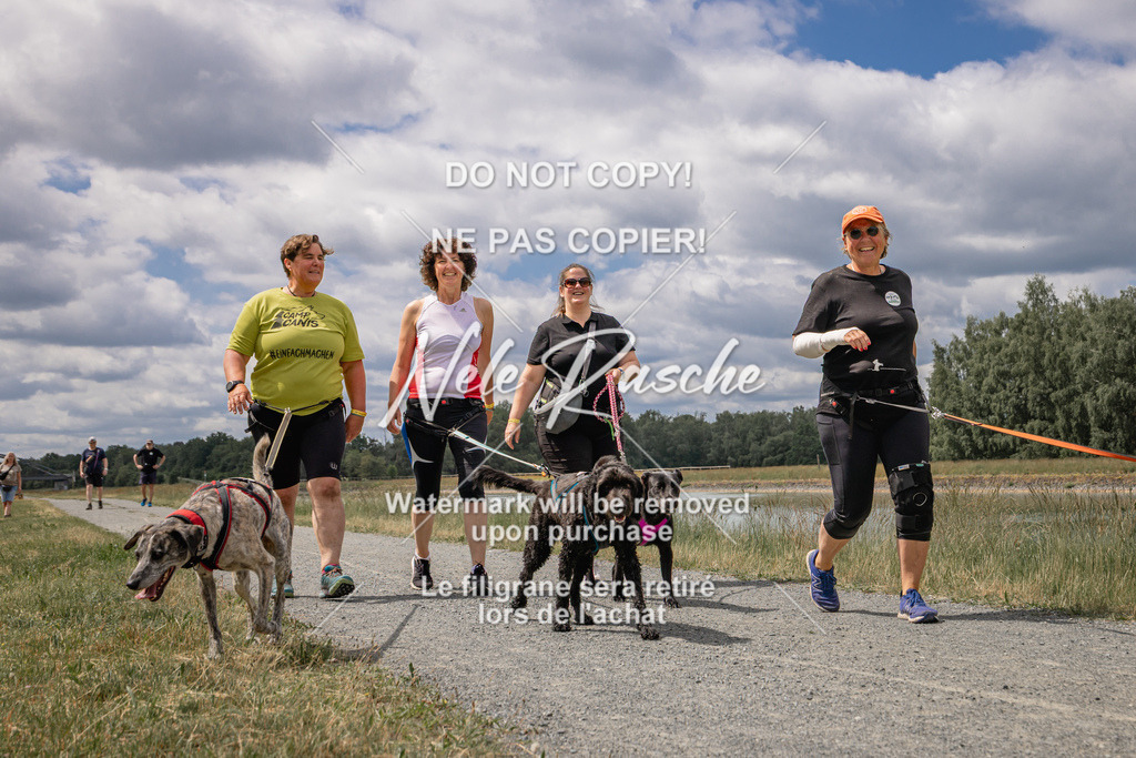 nelerasche_BuHu2026_SaCC1100-1200_224 | nelerasche