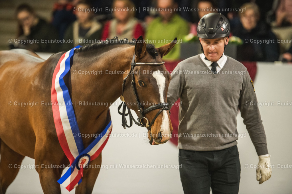 20240302_Hengstvorstellung_Marbach_TOMsPiC_0472-2 | equistock