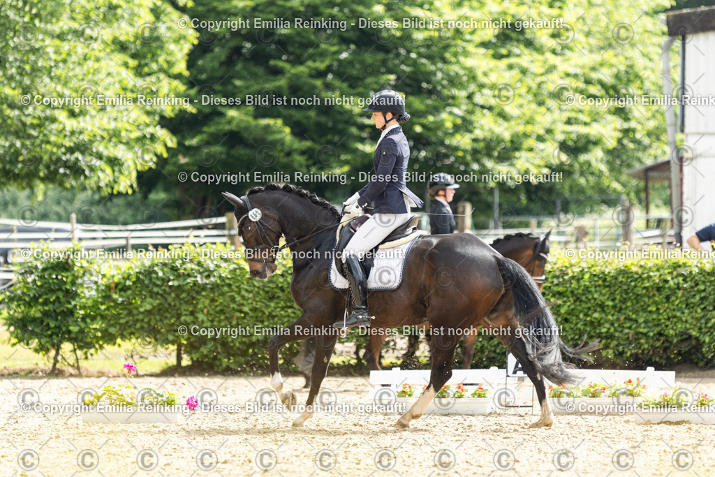 CL5A6060 | Emilia Reinking Fotografie - Realisiert mit Pictrs.com