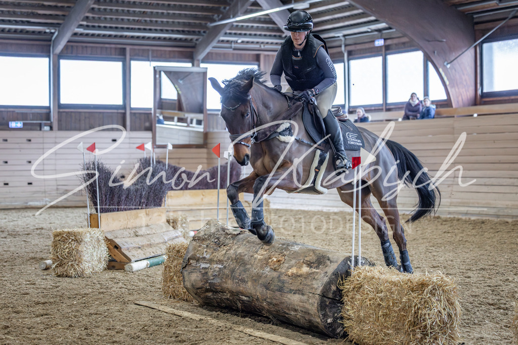 20260221-_3LI0418 | Tierfotografie Pferde, Hunde, Katzen, Haustiere.
Turnierfotografie Reitturniere, Reiten, Springreiten, Dressur in Hanau, dem Main-Kinzig-Kreis und dem Rhein-Main- Gebiet um Frankfurt