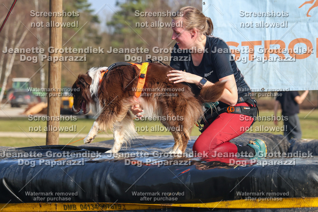 Dog Paparazzi - Strongdog North Mrz26-3044 | Dog Paparazzi Jeanette Grottendiek Fotografie & Videografie - Realisiert mit Pictrs.com