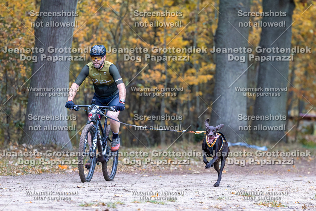 Dog Paparazzi - SD CaniX Championship 2025-38 | Dog Paparazzi Jeanette Grottendiek Fotografie & Videografie - Realisiert mit Pictrs.com