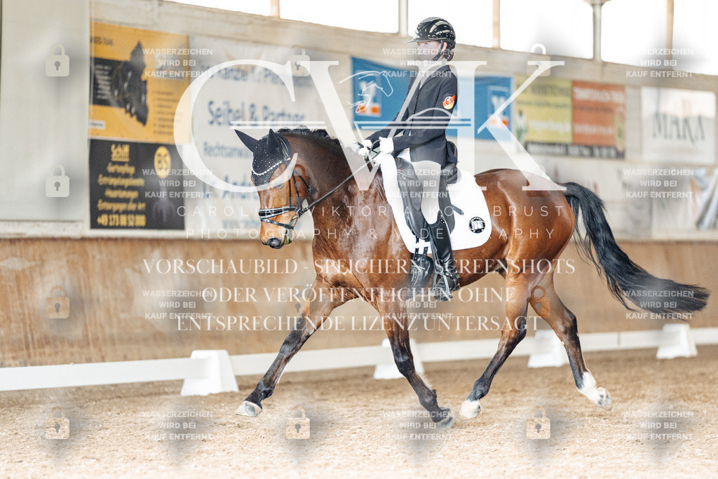 CK901985 | Turnierfotografie Pferdefotografie Trier Rheinland-Pfalz Pferdesport Reitsport Tierfotografie Sportfotografie Pferdevideo Pferdevideografie Equestrianvideography equestrianphotography  - Realisiert mit Pictrs.com
