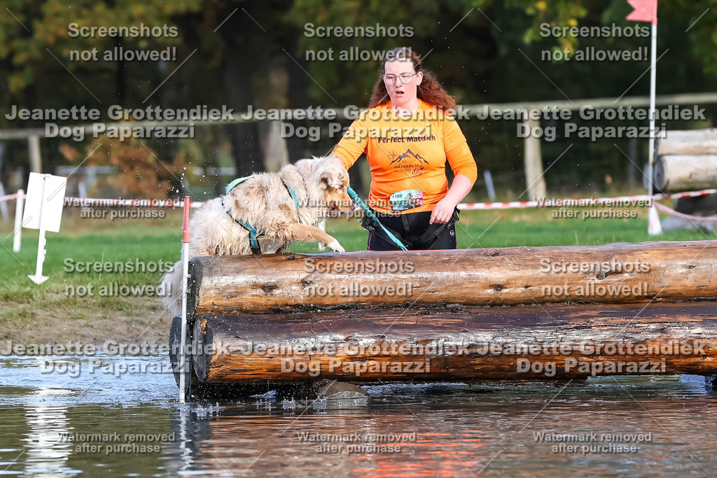 Dog Paparazzi - Strongdog 10-25-7023 | Dog Paparazzi Jeanette Grottendiek Fotografie & Videografie - Realisiert mit Pictrs.com