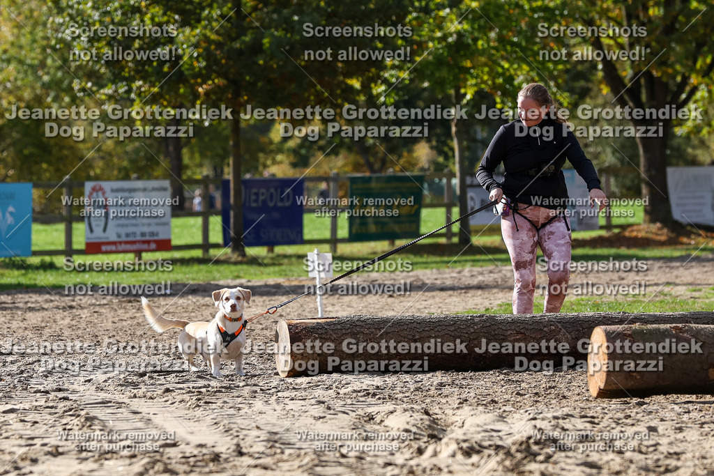 Dog Paparazzi - Strongdog 10-25-5499 | Dog Paparazzi Jeanette Grottendiek Fotografie & Videografie - Realisiert mit Pictrs.com