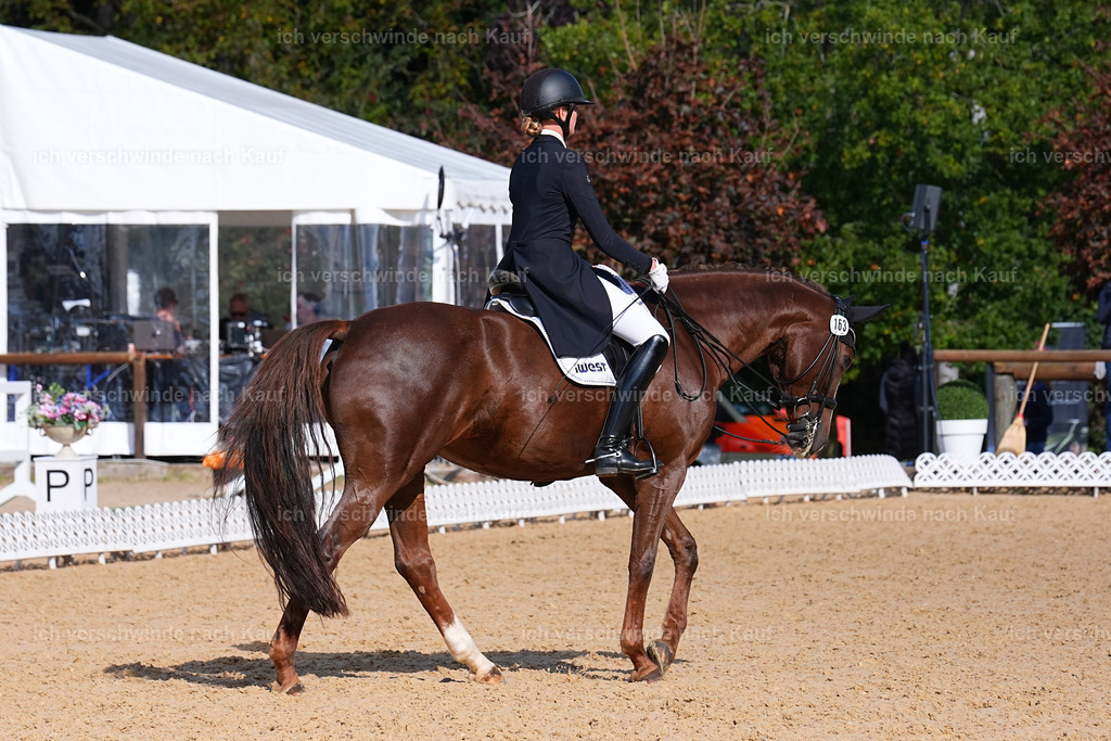 09_2-163-DRESSUR  S_  -Marixx-5933 | working equitationturnier fotograf videograf stoibphotography marixx film working equitation deutschland reitsport turnierfotografie eventfotografie equestrian events