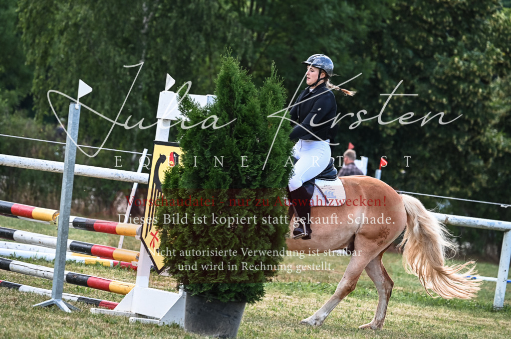DSC_8108 | Pferde- und Turnierfotografie in Westsachsen. Pferdeportraits, Auftragszeichnungen und intuitive Kunst.