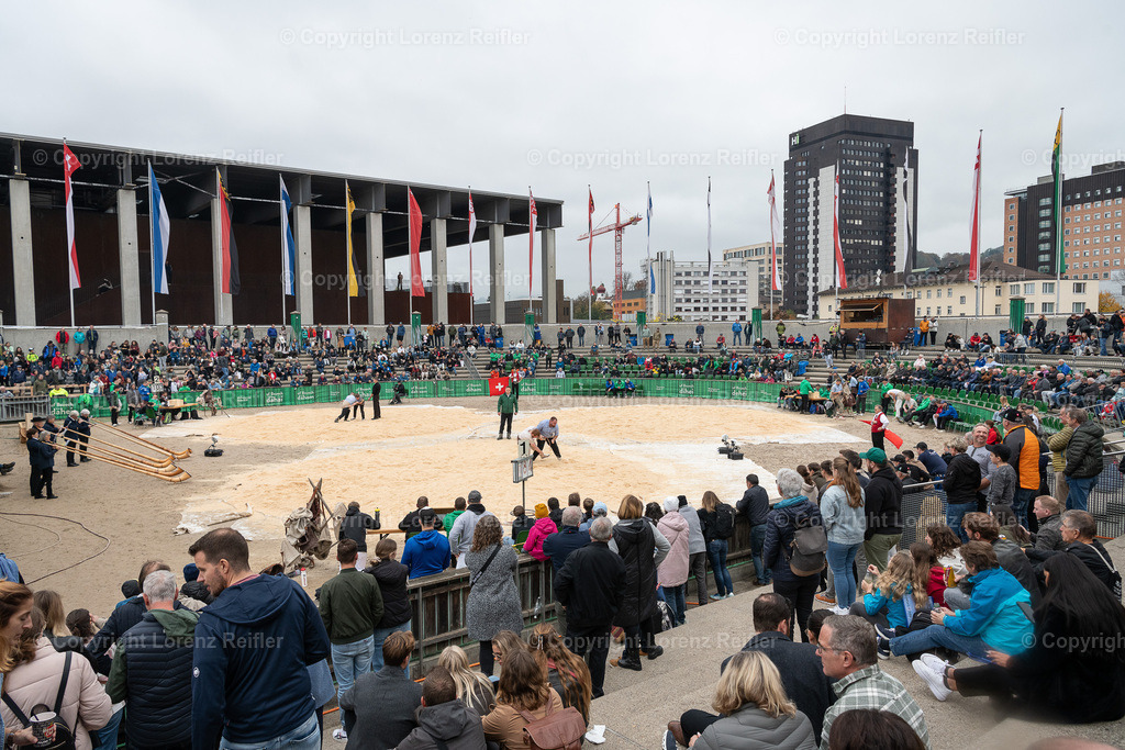Schwingen -  12. OLMA-Schwinget 2024 | St.Gallen, 20.10.24, Schwingen - 12. OLMA-Schwinget.