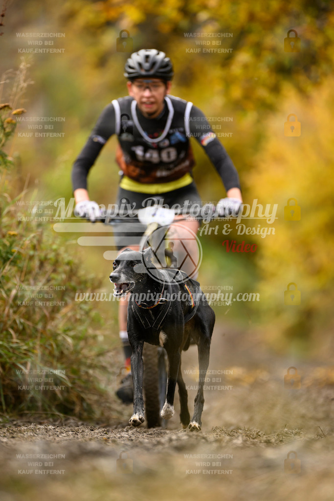 MompixPhotography_ICF_WC_2024_SA_Bike_-146 | PayLife