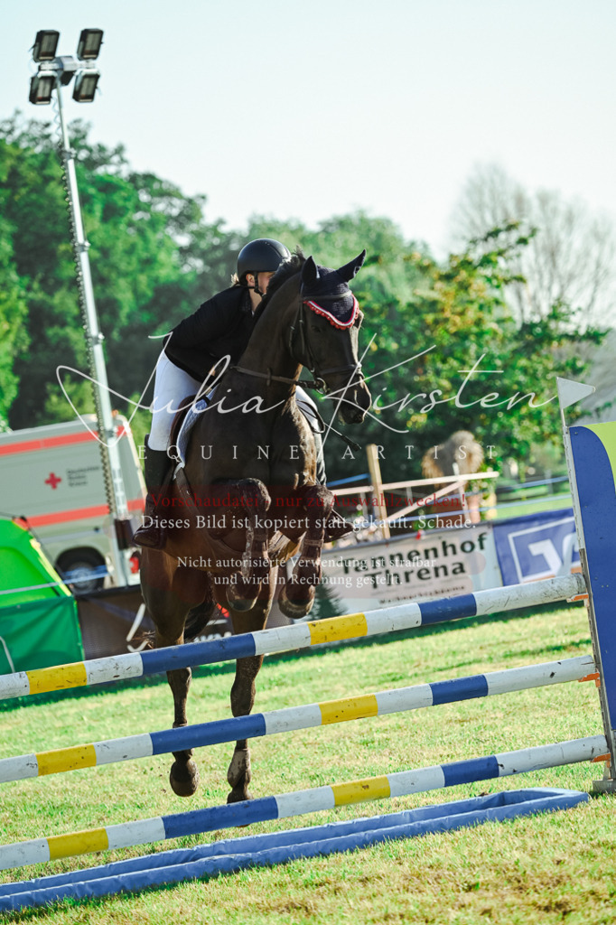 DSC_4388 | Pferde- und Turnierfotografie in Westsachsen. Pferdeportraits, Auftragszeichnungen und intuitive Kunst.