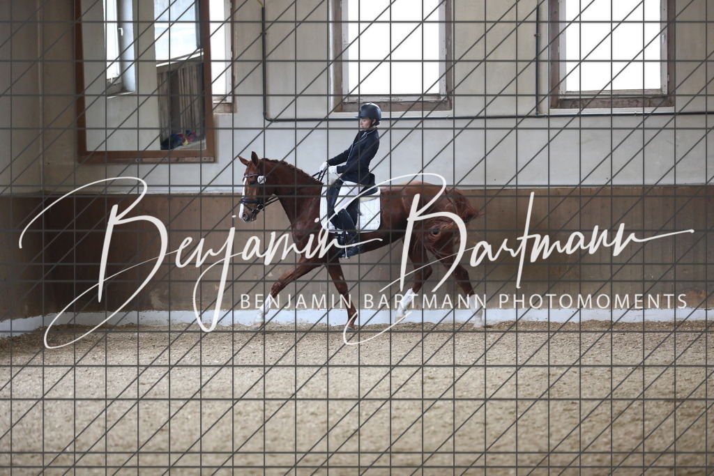 AZ2A0903 | Benjamin Bartmann Photomoments