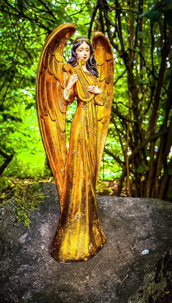 Erscheinung - Steinberg | Eines Tages erschien diese Engelsstatue im Schatten der Weidenblätter.Wanderer finden am Rande Steinbergs einen Ort vielfältiger Bedeutungen. Im christlichen Sinne ist die Weidenkirche eine Stätte des Glaubens, doch das Blätterdach spielt in vergangenen und heutigen Kulturen mitunter eine andere Rolle. Für die Kelten symbolisierte der Baum die Mondmagie und für die Babylonier das Wehklagen. Für die Griechen ist die Weide mit der Geisterwelt verbunden und die Nordmänner widmen die sie dem Schutz der Frauen. Die chinesische Interpretation der Sanftmut und spirituellen Erleuchtung passt jedoch am besten zur Nutzung als Gotteshaus. - Realisiert mit Pictrs.com
