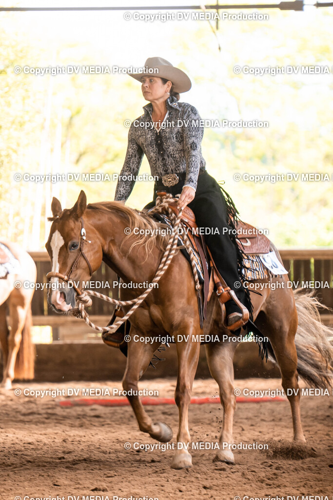 Erbach Tag 1-611 | dv-media-shop - Realisiert mit Pictrs.com