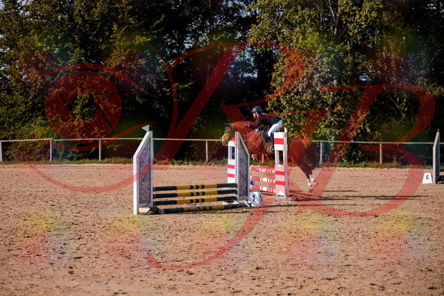 2026_10_03_Siefer-Hof_155815_Z81_78111877 | Professionelle Reitsport-, Turnier- und Eventfotografie von Robert Broda. Galerien mit ausgewählten und bearbeiteten Bildern direkt online ansehen und bestellen.