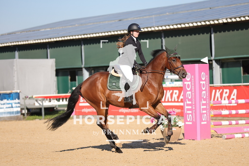 0P6A9243 | Willkommen bei Brunnmayr - Design & Fotografie – Ihrem Spezialisten für Reitturniere und Pferdeveranstaltungen in Oberösterreich, Salzburg und Bayern! Seit über 17 Jahren sind wir leidenschaftlich dabei.