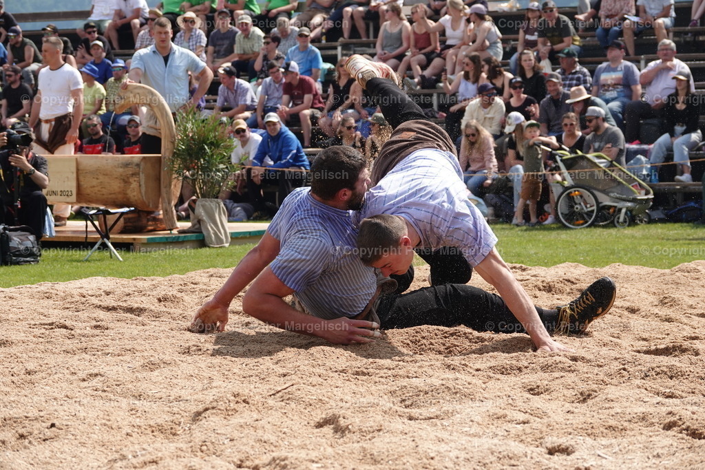 DSC04555 | Schwingen - Realisiert mit Pictrs.com