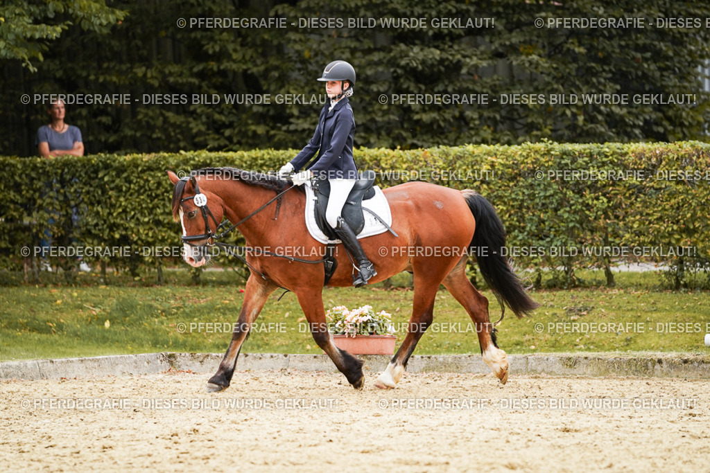 DSC09956 | Pferdegrafie