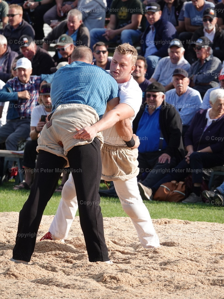 DSC05622 | Schwingen - Realisiert mit Pictrs.com