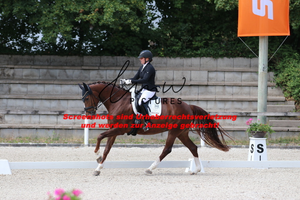 IMG_4366 | lmwpictures - Realisiert mit Pictrs.com