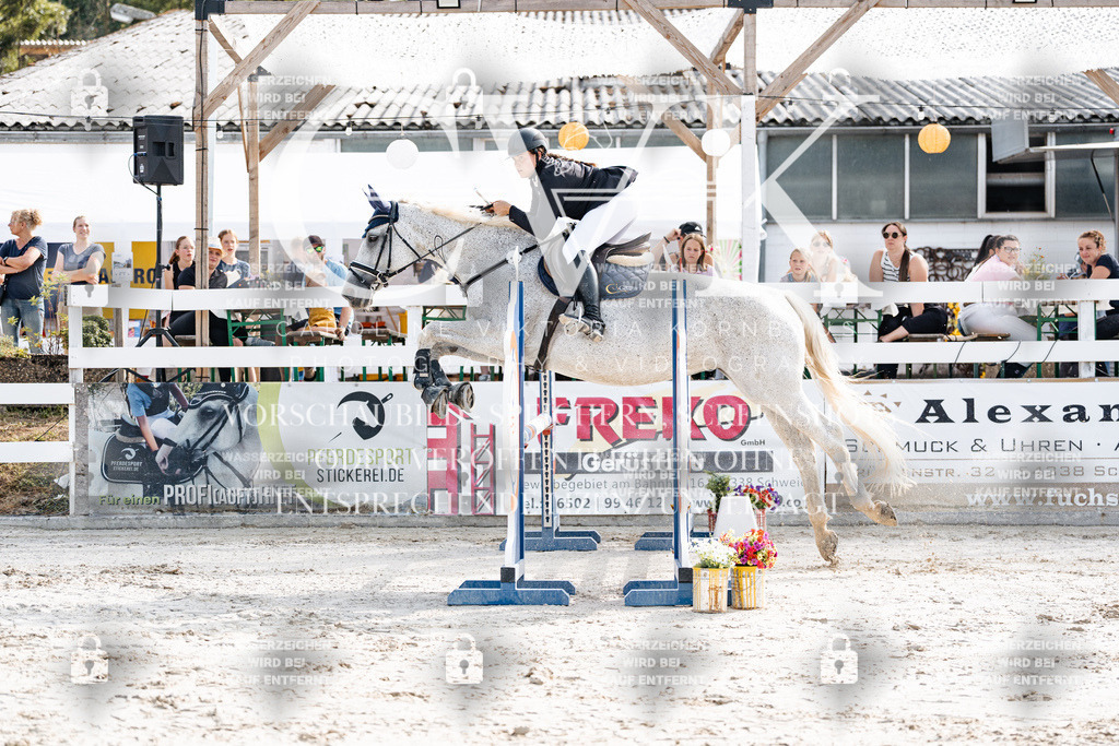 CK905499 | Turnierfotografie Pferdefotografie Trier Rheinland-Pfalz Pferdesport Reitsport Tierfotografie Sportfotografie Pferdevideo Pferdevideografie Equestrianvideography equestrianphotography  - Realisiert mit Pictrs.com