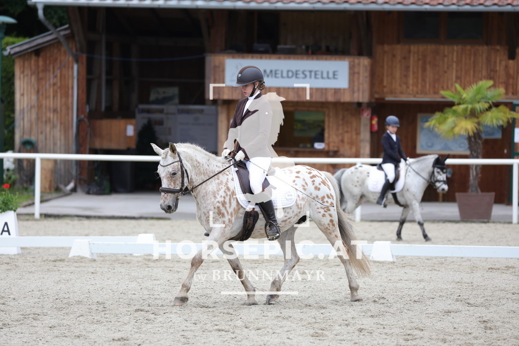 0P6A5564 | Willkommen bei Brunnmayr - Design & Fotografie – Ihrem Spezialisten für Reitturniere und Pferdeveranstaltungen in Oberösterreich, Salzburg und Bayern! Seit über 17 Jahren sind wir leidenschaftlich dabei.