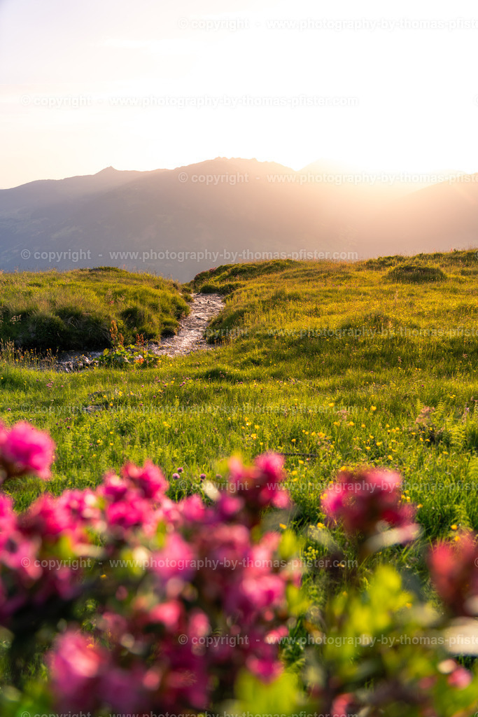 Zillertal Höhenstrasse Sommer copyright  Thomas Pfister-8 | PHOTOGRAPHY BY THOMAS PFISTER