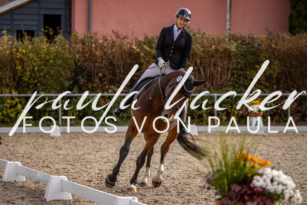 IMG_3287 | Erleben Sie dynamische Sport- und emotionale Tierfotografie in Süddeutschland mit Fotos von Paula. Spezialisiert auf Pferde- und Hundefotografie sowie Sportevents. Kontaktieren Sie mich für einzigartige und ausdrucksstarke Bilder Ihrer besonderen Momente.