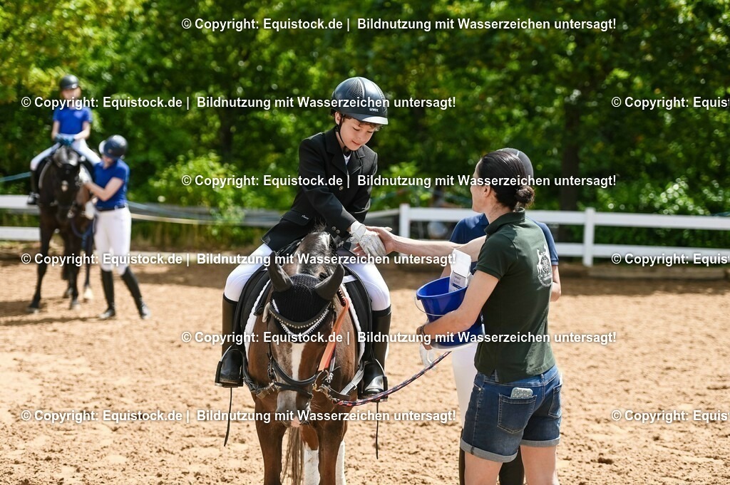 20230716_11_Führzügel-WB_0106 | equistock