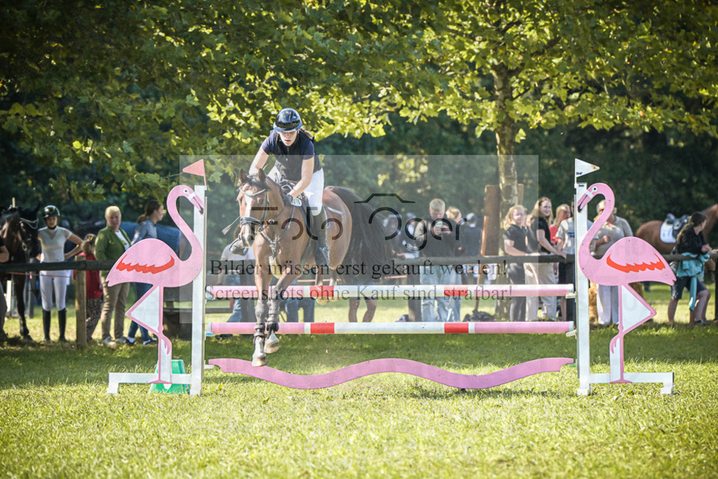 DOS_1423 | Entdecke hochwertige Reitturnierfotos von Foto Oger. Professionell, emotional und authentisch – jetzt Lieblingsmomente im Shop bestellen.Deutschlandweite Turnierfotografie. - Realisiert mit Pictrs.com
