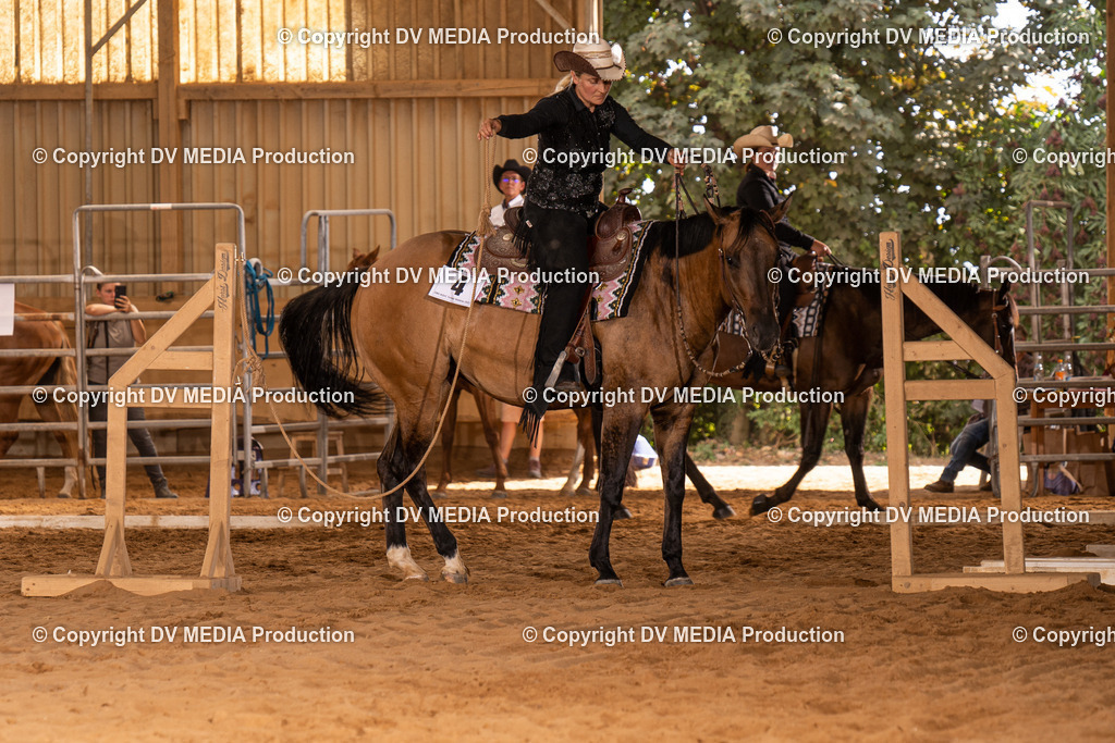 NID00611 | dv-media-shop - Realisiert mit Pictrs.com