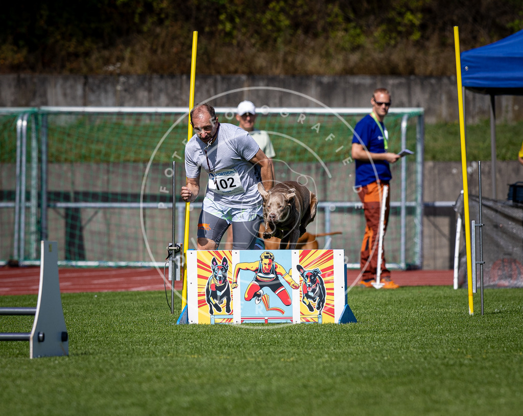 Pfotenfotografie_DV3A8027 | Hundefotografie, Tierfotograf, Pfotenfotografie, Fotoshooting Hund, Hunde Portrait, Hundesport, Hundeportraits, Heideshooting, Hunde, Sportfotograf, Hundefotograf, Turnierhundsport, THS,  - Realisiert mit Pictrs.com