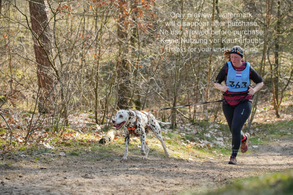 So_CC_short-222 | stephaniefillaphotographie - Realisiert mit Pictrs.com