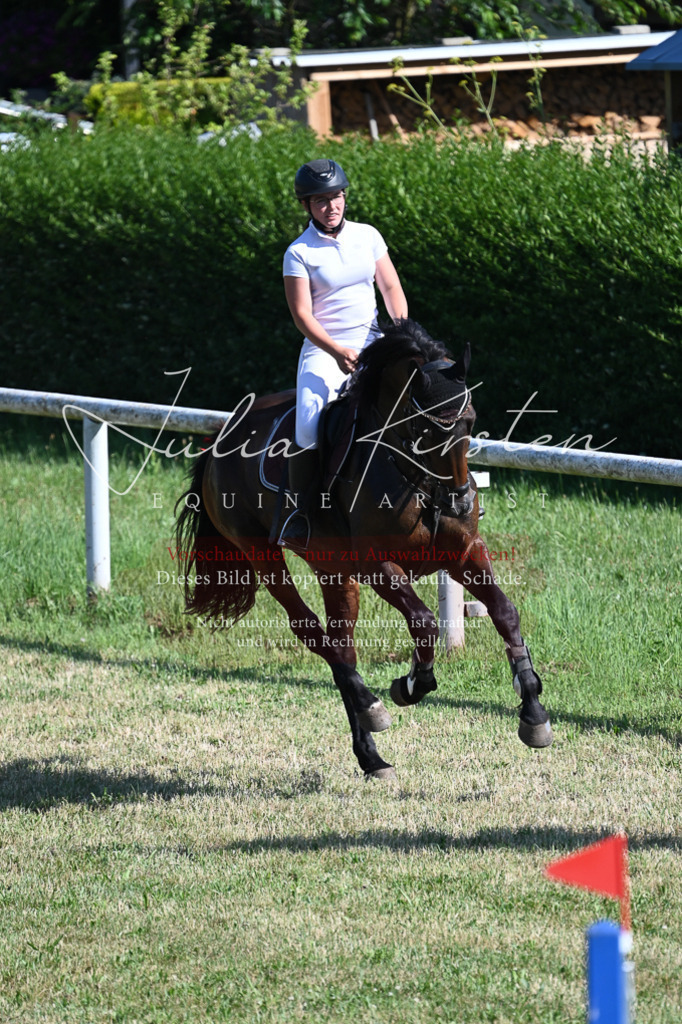 DSC_1990 | Pferde- und Turnierfotografie in Westsachsen. Pferdeportraits, Auftragszeichnungen und intuitive Kunst.