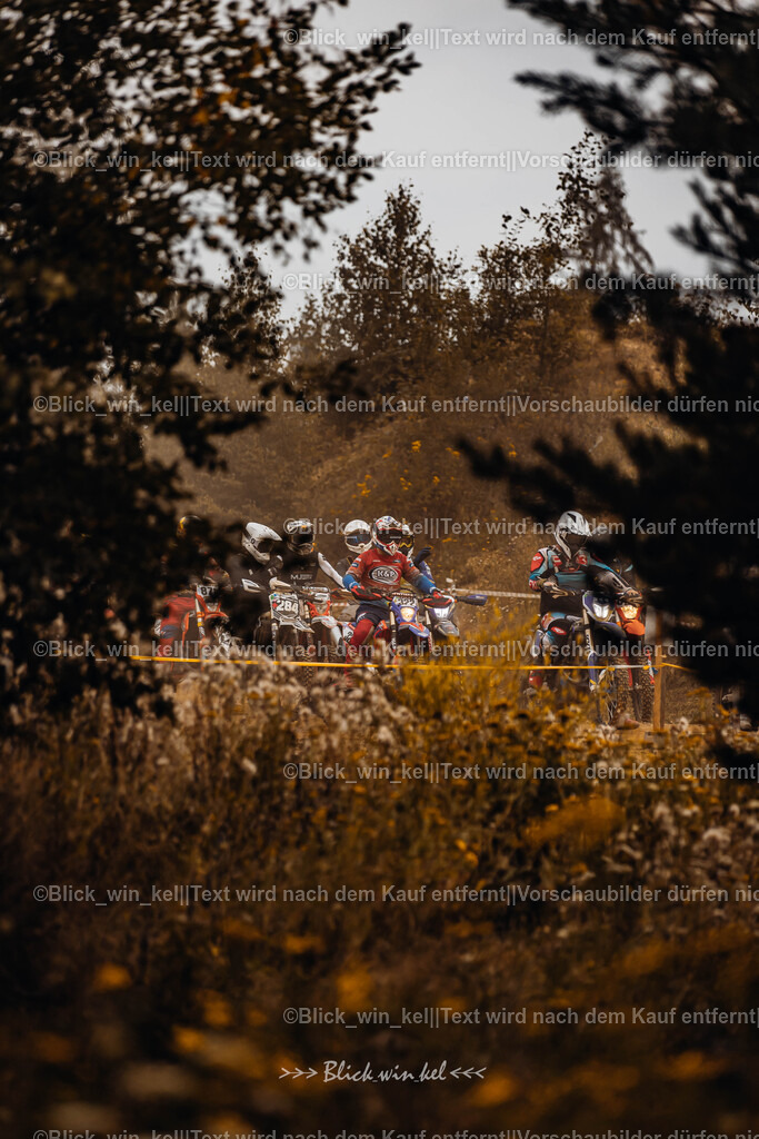 E68A3718 | blick_win_kel