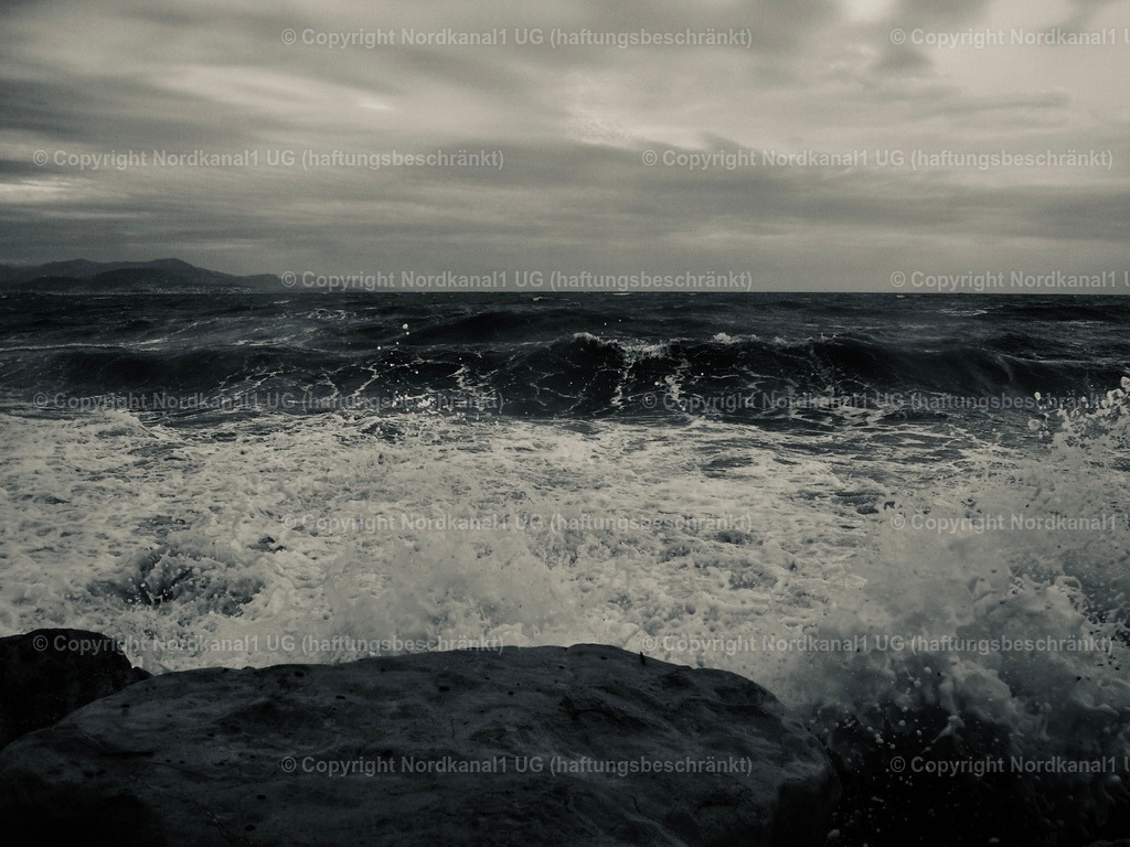 PA231985 | OLYMPUS DIGITAL CAMERA          - Realisiert mit Pictrs.com