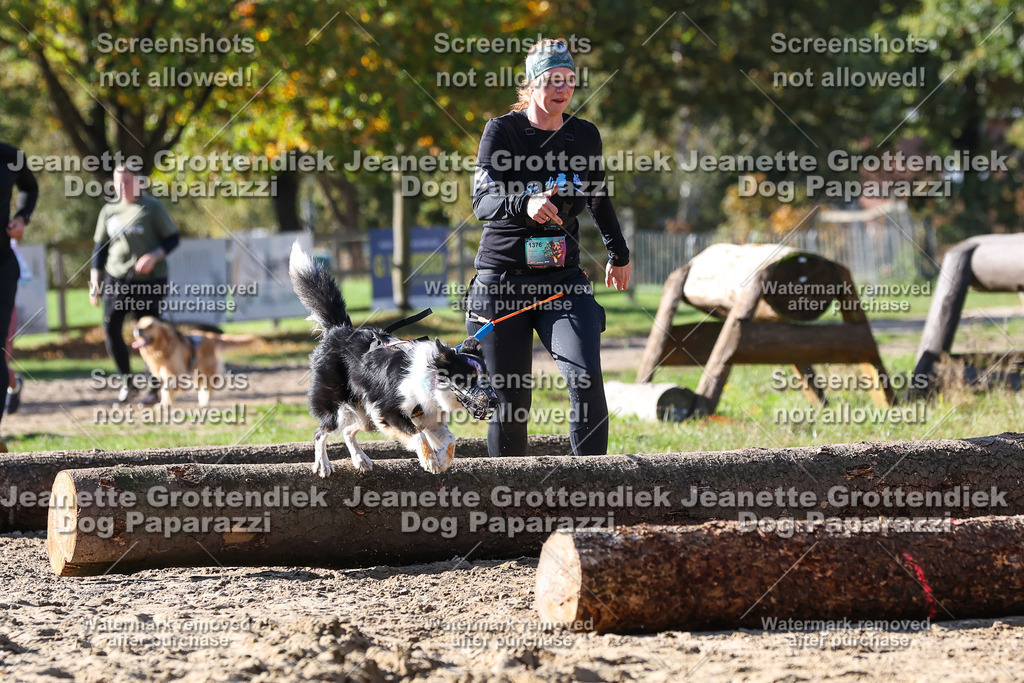 Dog Paparazzi - Strongdog 10-25-4751 | Dog Paparazzi Jeanette Grottendiek Fotografie & Videografie - Realisiert mit Pictrs.com