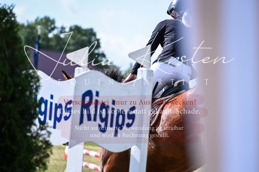 DSC_7813 | Pferde- und Turnierfotografie in Westsachsen. Pferdeportraits, Auftragszeichnungen und intuitive Kunst.