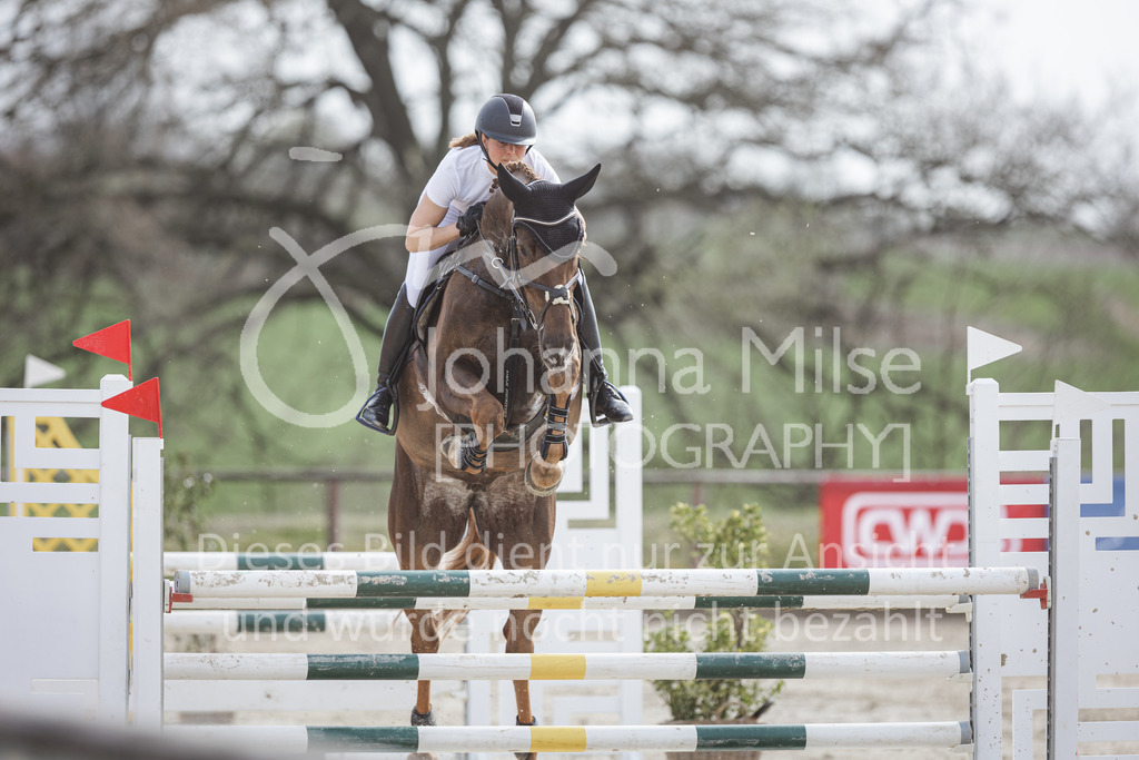 220413_LateEntry_MzH_SprPf-M-136 | Frühlingsfest der Pferde 
Outdoor Late Entry in Herford 
Springpferde-L
Springpferde-M*