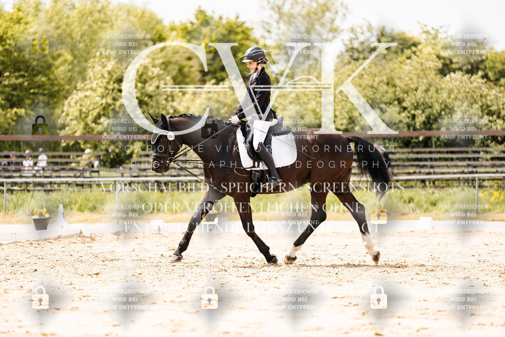 CK902060 | Turnierfotografie Pferdefotografie Trier Rheinland-Pfalz Pferdesport Reitsport Tierfotografie Sportfotografie Pferdevideo Pferdevideografie Equestrianvideography equestrianphotography  - Realisiert mit Pictrs.com
