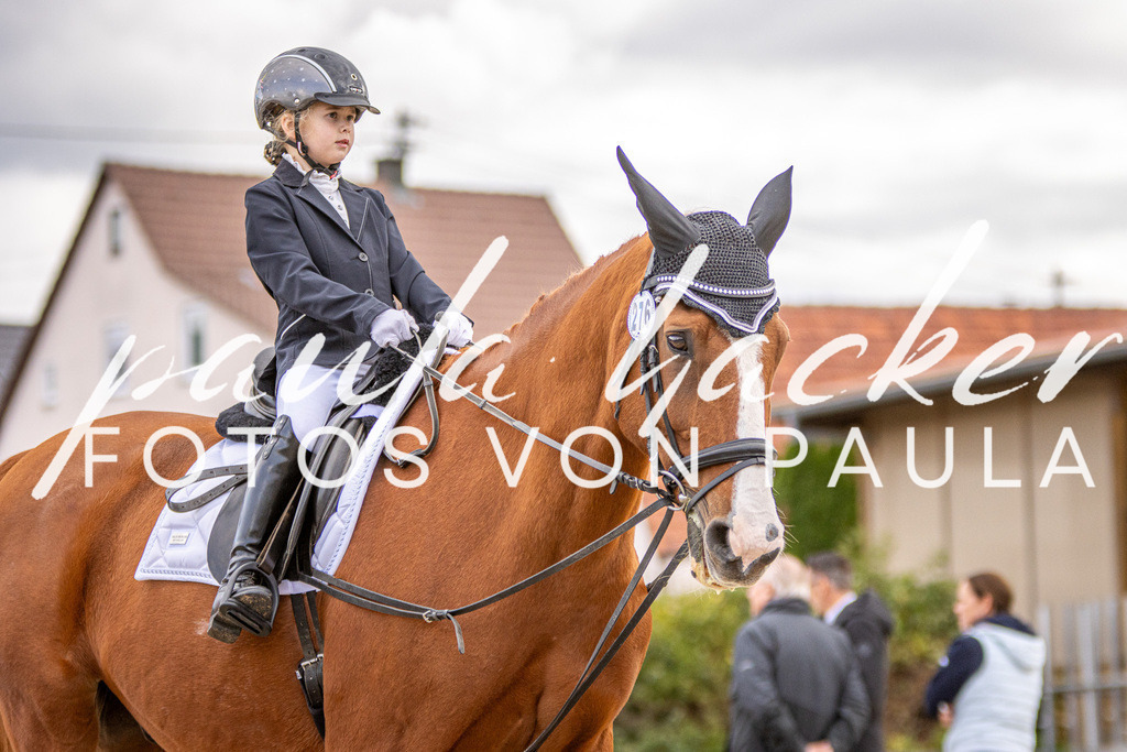 IMG_3537 | Erleben Sie dynamische Sport- und emotionale Tierfotografie in Süddeutschland mit Fotos von Paula. Spezialisiert auf Pferde- und Hundefotografie sowie Sportevents. Kontaktieren Sie mich für einzigartige und ausdrucksstarke Bilder Ihrer besonderen Momente.