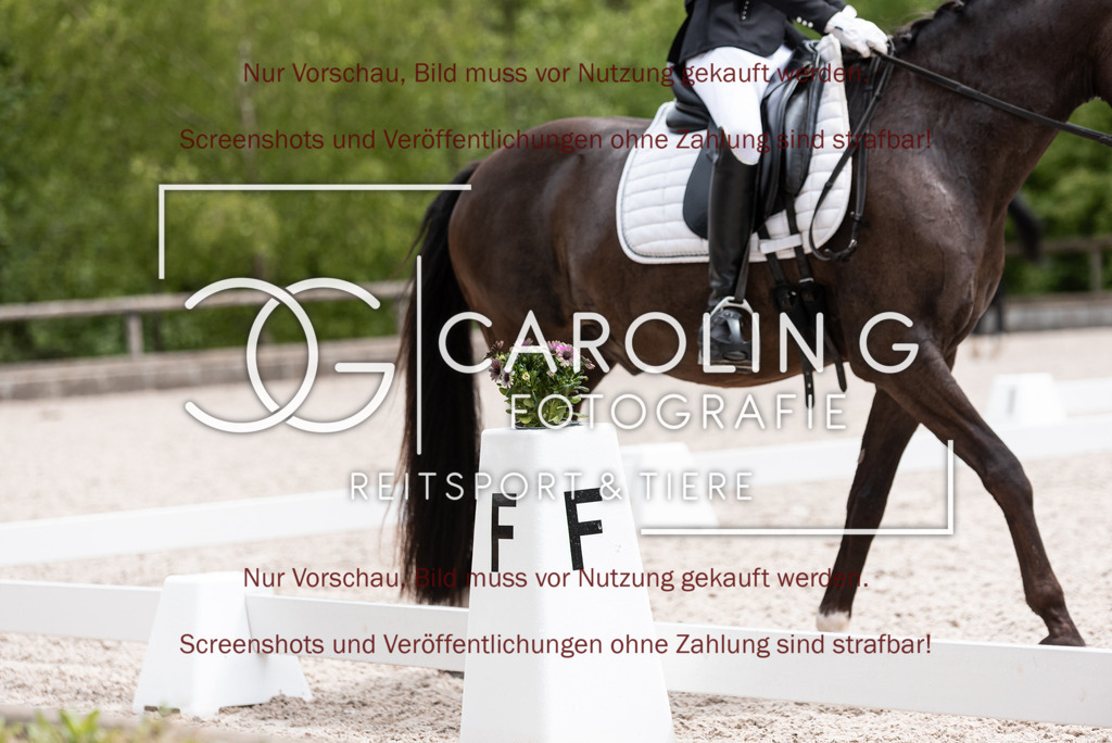 DSC_7364 | Turnierfotografin Carolin Gieschke, Turnierfotografie Carolin G Fotografie, Turnierfotos Kirchheim/Teck, Esslingen, Stuttgart, Bodenseekreis