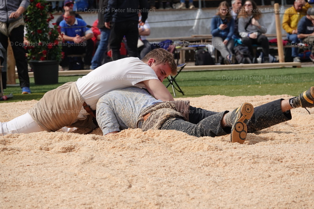 DSC03637 | Schwingen - Realisiert mit Pictrs.com