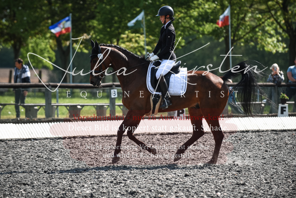 DSC_8937 | Pferde- und Turnierfotografie in Westsachsen. Pferdeportraits, Auftragszeichnungen und intuitive Kunst.