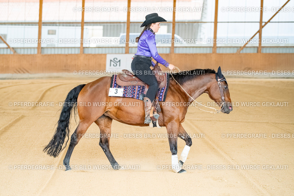 DSC07737 | Pferdegrafie