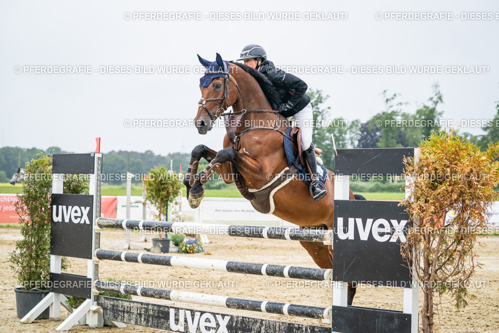 DSC02820 | Pferdegrafie