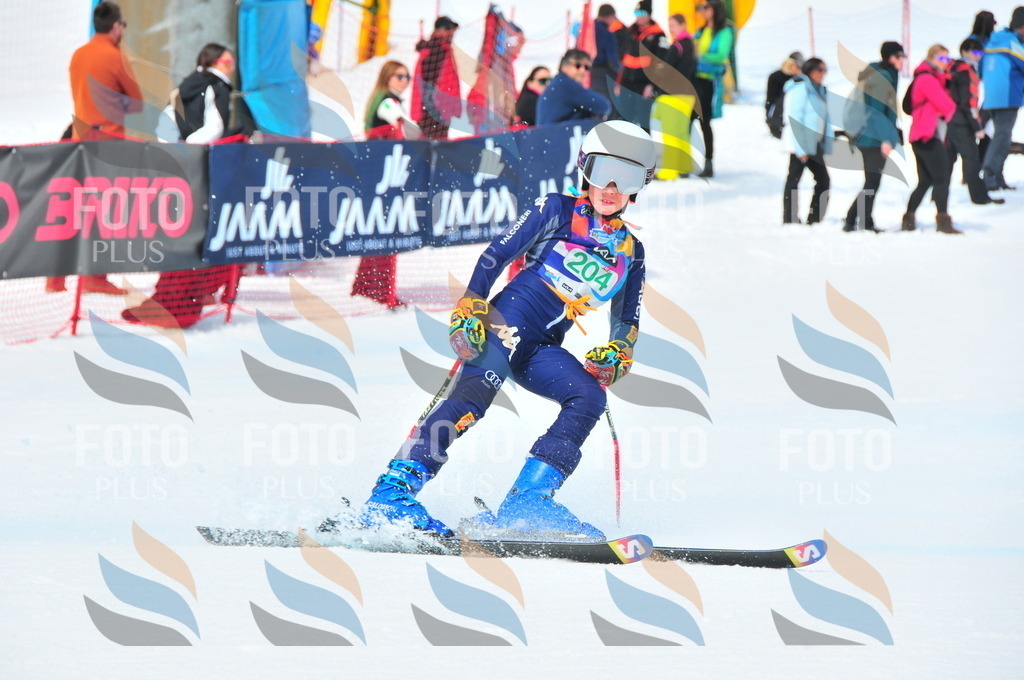 DSC_1868 | holidayphoto